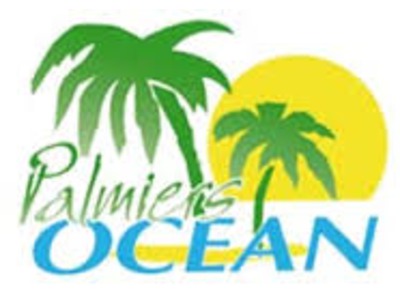 palmier ocean